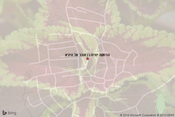 הרחקת יונים בכאוכב אל היג׳א