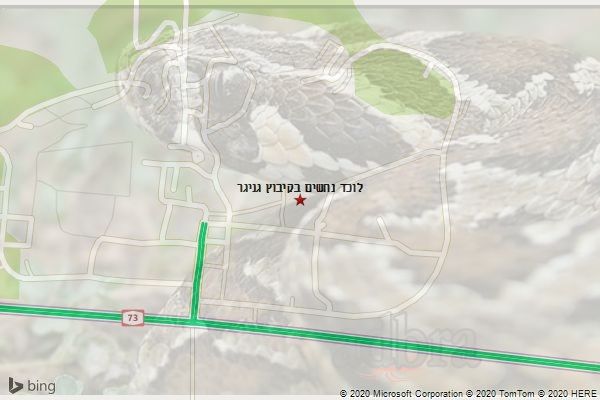 לוכד נחשים בקיבוץ גניגר