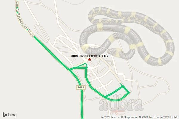 לוכד נחשים במעלה עמוס