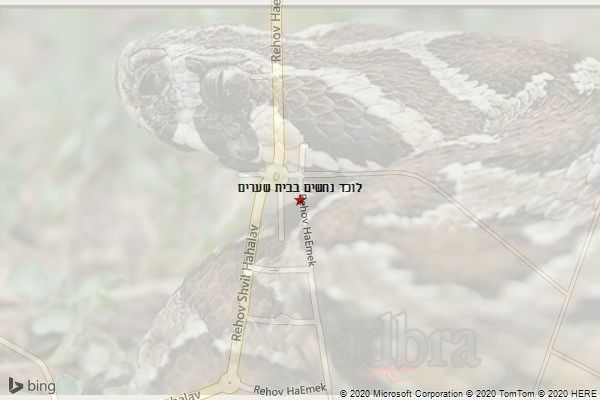 לוכד נחשים בבית שערים