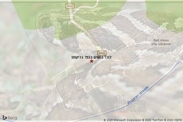 לוכד נחשים בכפר גליקסון