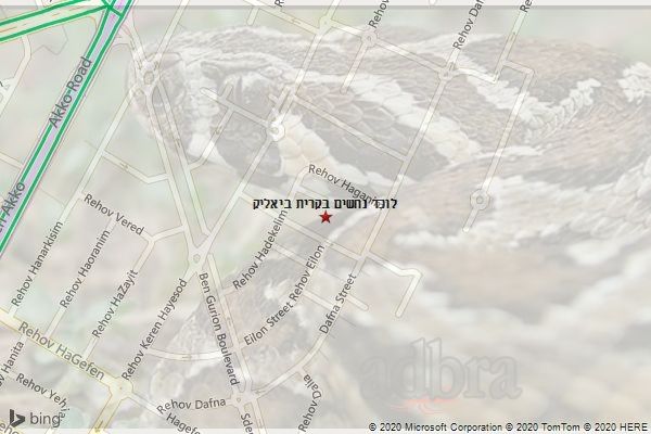 לוכד נחשים בקרית ביאליק