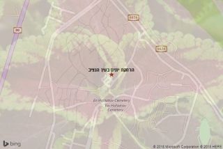 הרחקת יונים בעין הנציב