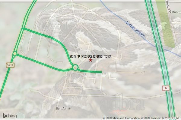 לוכד נחשים בקיבוץ יד חנה