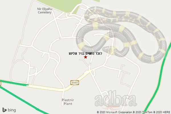 לוכד נחשים בניר אליהו