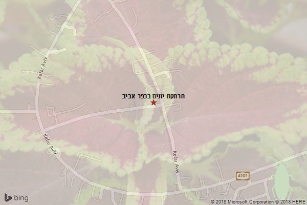 הרחקת יונים בכפר אביב