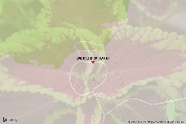 הרחקת יונים בחרשים