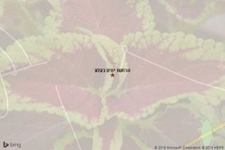 הרחקת יונים בקלע