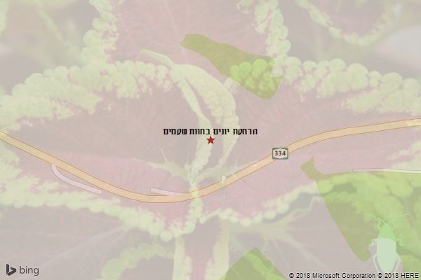 הרחקת יונים בחוות שקמים