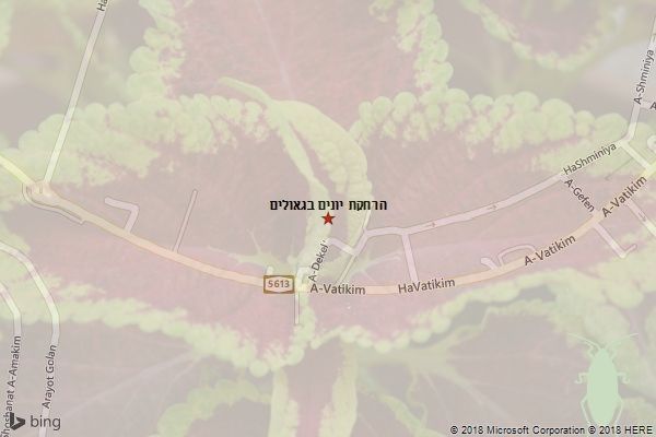 הרחקת יונים בגאולים