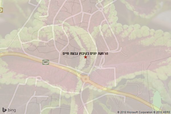 הרחקת יונים בקיבוץ גבעת חיים