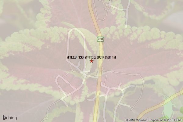 הרחקת יונים בפוריה כפר עבודה