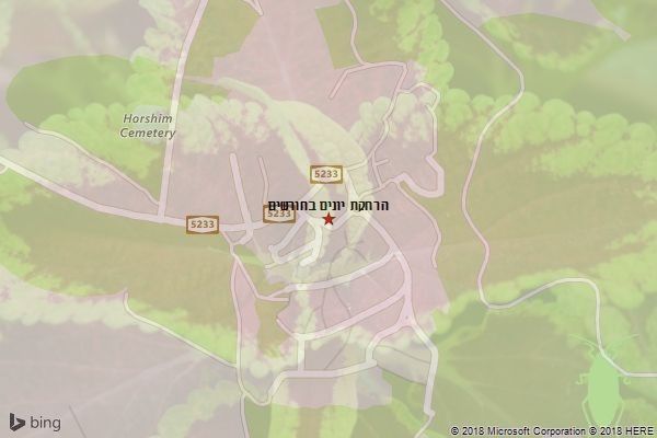 הרחקת יונים בחורשים