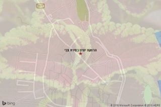 הרחקת יונים בטירת צבי