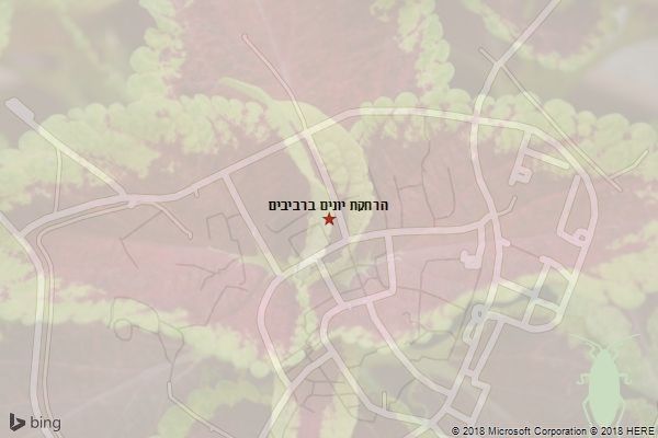 הרחקת יונים ברביבים