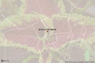 הרחקת יונים ברביבים