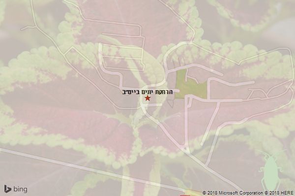 הרחקת יונים בייט״ב