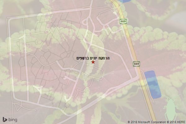 הרחקת יונים ברשפים