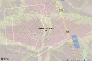 הרחקת יונים ברשפים