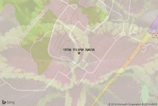 הרחקת יונים ביד מרדכי