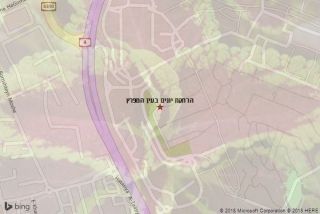 הרחקת יונים בעין המפרץ