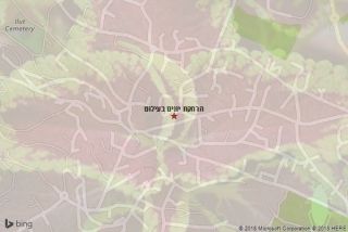 הרחקת יונים בעילוט