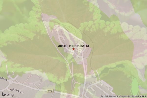 הרחקת יונים ביד השמונה