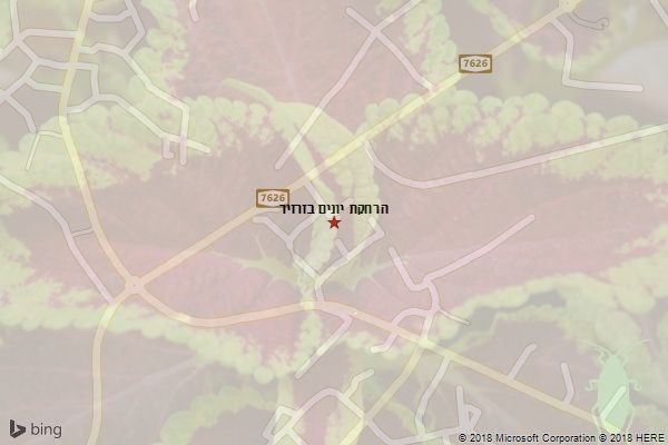 הרחקת יונים בזרזיר