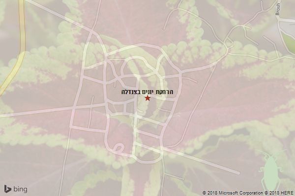 הרחקת יונים בצנדלה