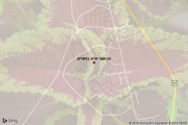 הרחקת יונים בצאלים