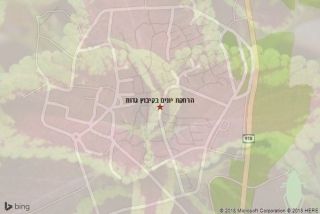 הרחקת יונים בקיבוץ גדות