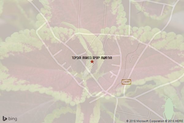 הרחקת יונים בנאות הכיכר