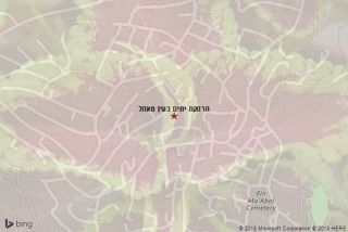 הרחקת יונים בעין מאהל